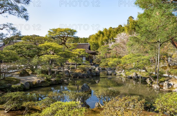 Artfully landscaped Japanese garden with pond in Jisho-ji or Ginkaku-ji, Zen Temple, Higashiyama, Kyoto, Japan