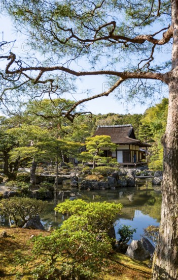 Artfully designed Japanese garden with pond with Togudo in Jisho-ji or Ginkaku-ji, Zen Temple, Higashiyama, Kyoto, Japan