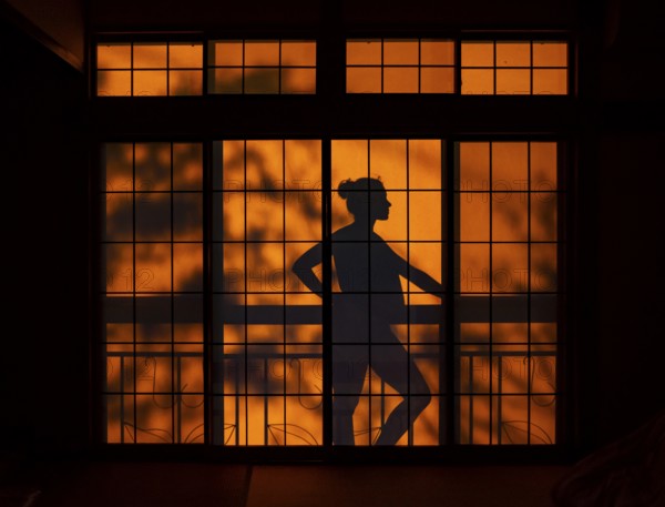 Shades of a woman on the balcony behind a sliding shoji door in a traditional Japanese house, Yamanouchi, Nagano, Japan
