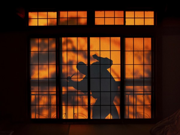 Shadow of a man, burglar with knife, assassin, ninja, on the balcony behind sliding shoji doors in a traditional Japanese house, Yamanouchi, Nagano, Japan