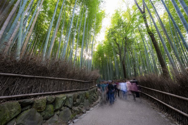 Visitors on their way through bamboo forest, long exposure, towering bamboo stems in Arashiyama bamboo forest, Kyoto, Japan