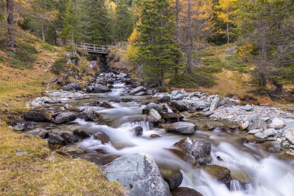 Mountain stream with wooden bridge, mixed forest, autumn, Pontresina, Bernina Pass, Engadin, Graubünden, Switzerland