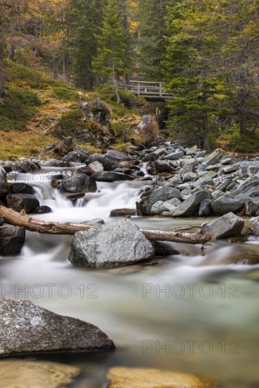 Mountain stream with wooden bridge, mixed forest, autumn, Pontresina, Bernina Pass, Engadin, Graubünden, Switzerland