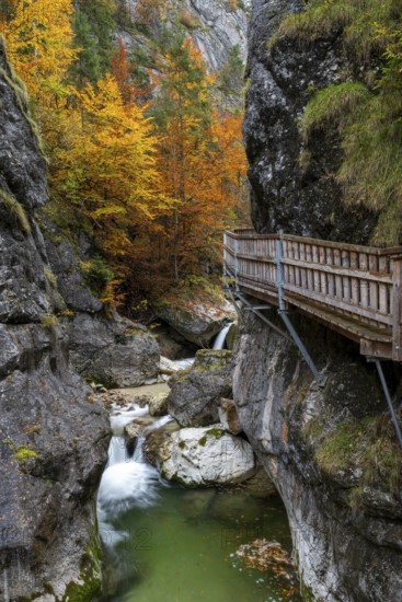 Holzsteg in der Nothklamm, autumn, Gams, Palfau, Hieflau, Styria, Austria