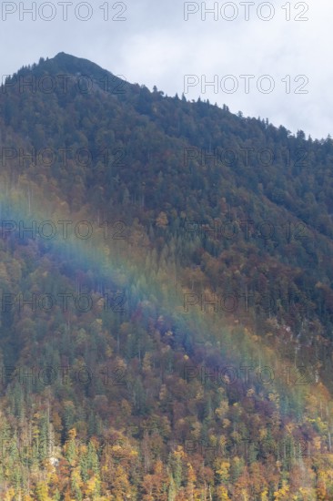 Rainbow in front of autumnal forest, mountain, Styria, Austria