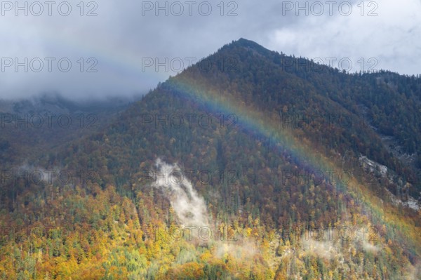 Rainbow in front of autumnal forest, mountain, Styria, Austria