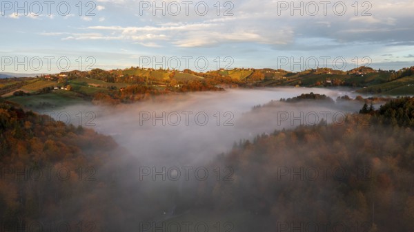 Aerial view, sunrise, typical landscape in autumn with vineyards, South Styrian hills, South Styrian wine route, Styria, Austria