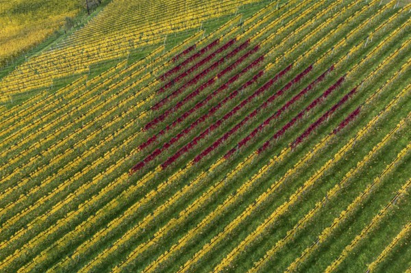 Aerial view, heart, vineyards, South Styrian hills, South Styrian Wine Route, Styria, Austria