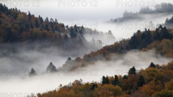 Sunrise, typical landscape in autumn with vineyards and fog, South Styrian hills, South Styrian wine route, Styria, Austria