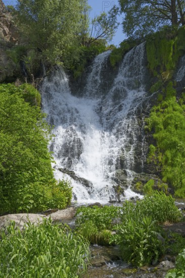 An impressive waterfall cascades down amid lush green vegetation, surrounded by rocks and trees, Shaki Waterfall, Syunik Province, Syunik, Armenia