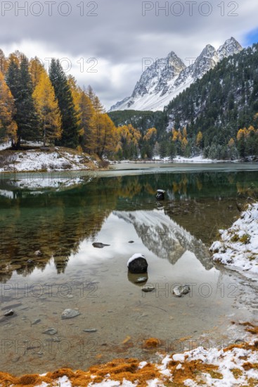 Lake Palpougna, mountain lake, Piz da la Plais, Tschimels, mixed forest with larches (Larix) in autumn, snow, autumn, Filisur mountain green, Albula Pass, Grisons, Switzerland