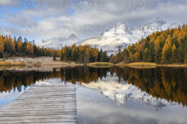 Lake Stazer in front of mountain peaks with snow, mixed forest with larch (Larix) in autumn, wooden walkway, reflection, autumn, Piz Albana, Piz Julier, Piz Nair, Piz Polaschin, Celerina/Schlarigna, Engadin, Graubünden, Switzerland