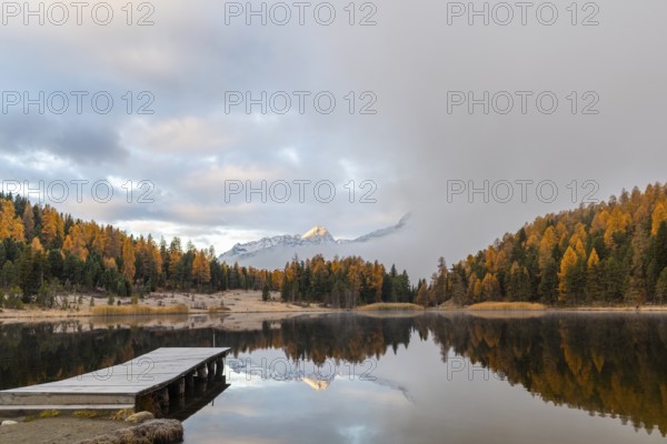 Lake Staz against mountain backdrop, mountain lake, mixed forest with larch (Larix) in autumn, mountain peaks with snow, reflection, Piz Albana, Piz Polaschin, wooden walkway, fog, autumn, Celerina/Schlarigna, Engadin, Grisons, Switzerland