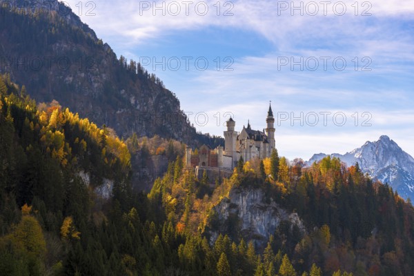 Neuschwanstein Castle rises on a hill covered with autumn trees, mountains in the background, Schwangau near Füssen, Ostallgäu, Allgäu, Bavaria, Germany