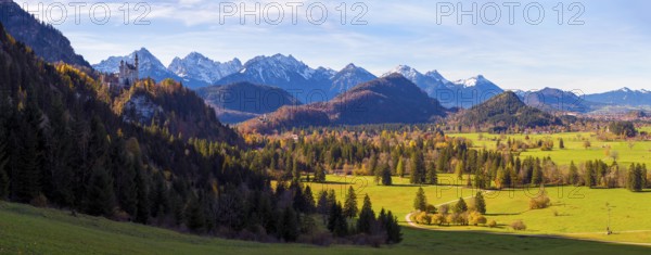 Panoramic picture, vast landscape with green fields, the distant Neuschwanstein Castle and majestic mountains, Schwangau near Füssen, Ostallgäu, Allgäu, Bavaria, Germany