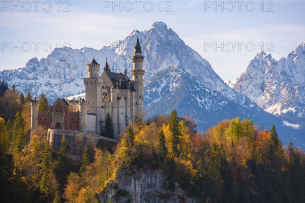 Neuschwanstein Castle is enthroned against an impressive mountain backdrop, surrounded by autumnal forests, Schwangau near Füssen, Ostallgäu, Allgäu, Bavaria, Germany