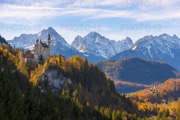 The majestic Neuschwanstein Castle on a mountain with autumn-colored forest in the foreground, Schwangau near Füssen, Ostallgäu, Allgäu, Bavaria, Germany