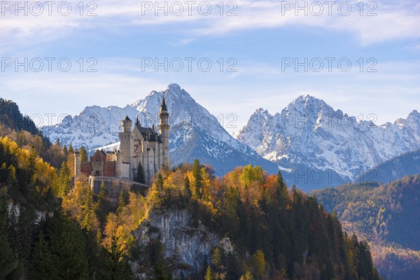 Neuschwanstein Castle stands majestically on a hill with autumn trees, surrounded by snow-capped mountains, Schwangau near Füssen, Ostallgäu, Allgäu, Bavaria, Germany