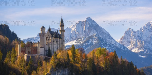 Neuschwanstein Castle is perched on a hill in front of snow-covered mountains, surrounded by autumn-colored trees, Schwangau near Füssen, Ostallgäu, Allgäu, Bavaria, Germany