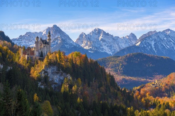 Neuschwanstein Castle stands against a picturesque backdrop of snow-capped mountains and autumn forest, Schwangau near Füssen, Ostallgäu, Allgäu, Bavaria, Germany