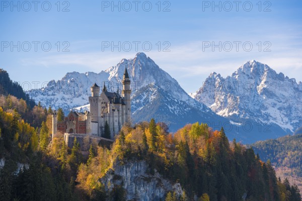 Neuschwanstein Castle surrounded by autumnal forest and high mountains, Schwangau near Füssen, Ostallgäu, Allgäu, Bavaria, Germany