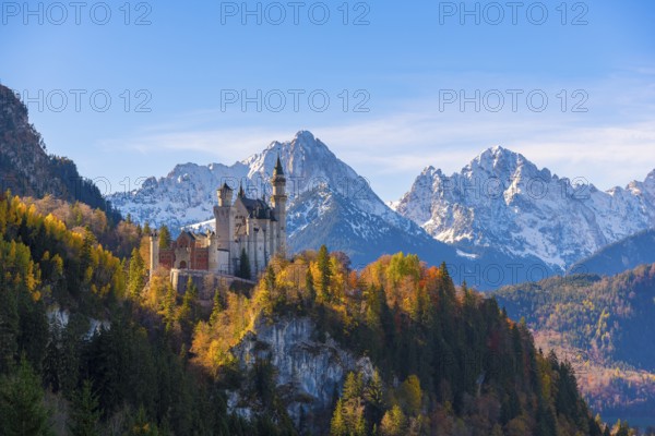 Neuschwanstein Castle rises majestically against snow-covered Alps in an autumnal landscape, Schwangau near Füssen, Ostallgäu, Allgäu, Bavaria, Germany