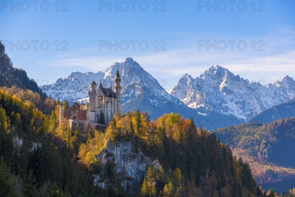 Neuschwanstein Castle towers over autumn trees against a backdrop of the Alps, Schwangau near Füssen, Ostallgäu, Allgäu, Bavaria, Germany