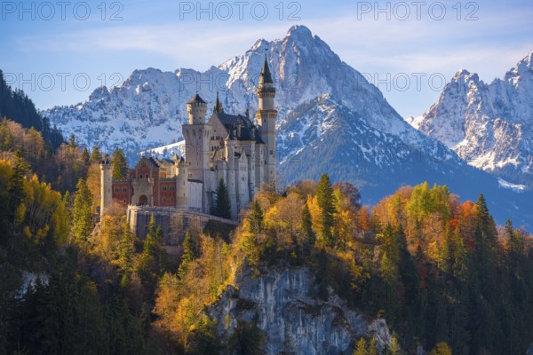 Neuschwanstein Castle is nestled in an autumn landscape with a mountainous background, Schwangau near Füssen, Ostallgäu, Allgäu, Bavaria, Germany