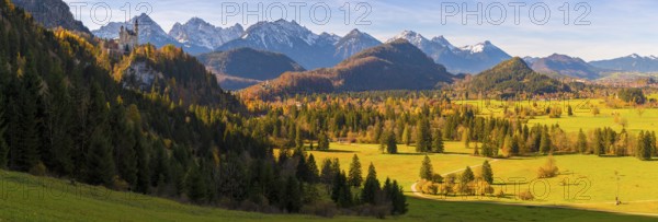 Panoramic picture, landscape with green fields, Neuschwanstein Castle and mountains in the background, autumnal atmosphere, Schwangau near Füssen, Ostallgäu, Allgäu, Bavaria, Germany