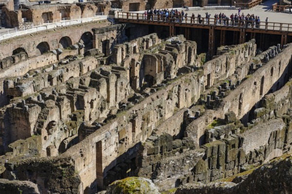 View of walls Ruins built built by Emperor Domitian hypogeum hypogeum substructure of historic arena Amphitheatrum Novum Amphitheatrum Flavium from ancient times, Rome. Lazio, Italia
