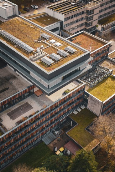 Modern office buildings with green roofs and solar cells, surrounded by autumn trees, Calw District Office, Calw, Germany