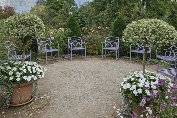 Quiet garden with purple chairs, surrounded by trees and flowering plants, Kreislehrgarten Burgsteinfurt, Münsterland, North Rhine-Westphalia, Germany