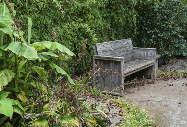 Wooden bench in a traditional garden, Münsterland, North Rhine-Westphalia, Germany