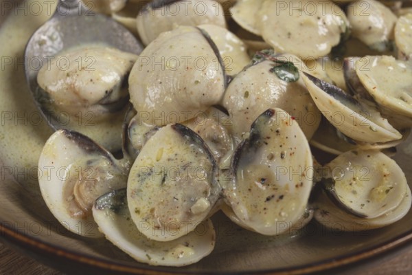 Vongole clams, in cream sauce, homemade, top view, no people
