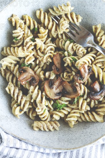 Fusilli pasta, in creamy mushroom sauce, pasta with mushrooms, homemade, no people
