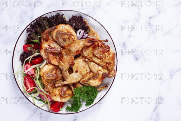 Baked quail, served on a plate with crispy lettuce leaves, fresh tomatoes and herbs, on a white plate, homemade