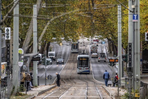 Bogestra tram, line 302 on Alleestraße, driving school, training trip, tram line in the middle of the street, stop J.-Mayer-S/Jahrh.-Halle, North Rhine-Westphalia, Germany