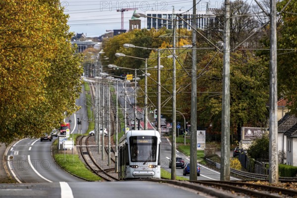 Bogestra tram, line 305, on the Wattenscheider Hellweg, driving school, training trip, tram line in the middle of the street, North Rhine-Westphalia, Germany