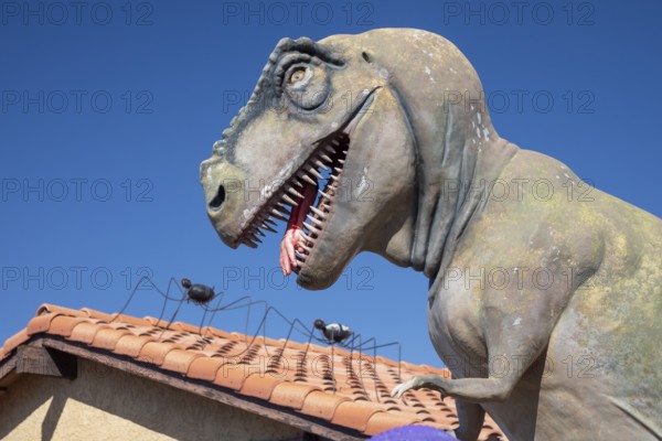 Henderson, Nevada - Dinosaurs dominate the yard of a house in suburban Las Vegas, placed there by retired school teacher Steve Springer