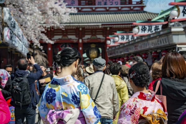 Two young Japanese woman wearing kimono surrounded by numerous visitors on Nakamise-dori shopping street, Cherry Blossom, Asakusa Shrine or Senso-ji Temple, Buddhist temple complex, Asakusa, Tokyo, Japan