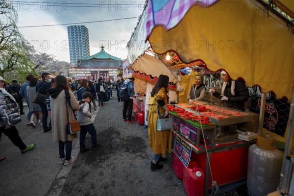 Food stalls with Japanese food, cherry blossom in spring, Hanami Festival, Ueno Park, Taito City, Tokyo, Japan