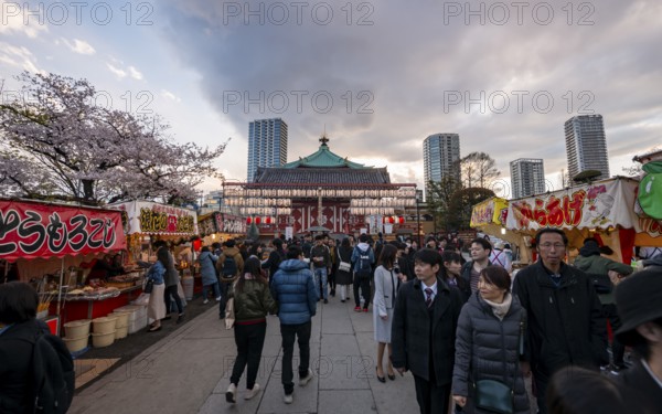 Shinobazunoike Bentendo Temple, food stalls selling Japanese food, cherry blossoms in spring, Hanami Festival, Ueno Park, Taito City, Tokyo, Japan