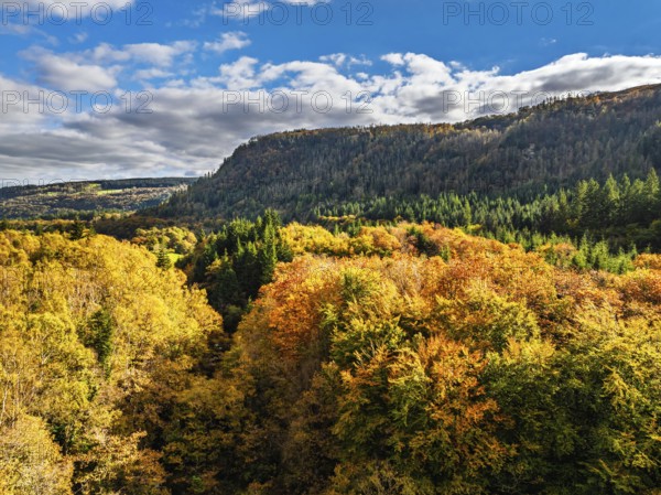 Autumn colours over Gwydir Forest Park from a drone, Afon Lledr, Road A470, Snowdonia, Eryri, Wales, England, United Kingdom