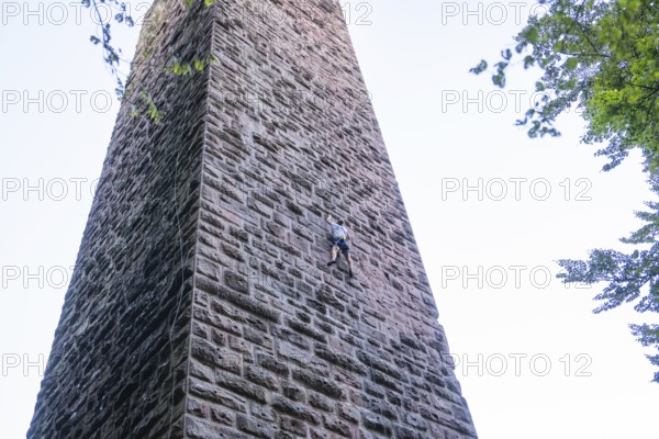 An athlete climbs up a high stone wall surrounded by trees under a clear sky, Burgruine Mandelberg, Pfalzgrafenweiler, Freudenstadt district, Germany