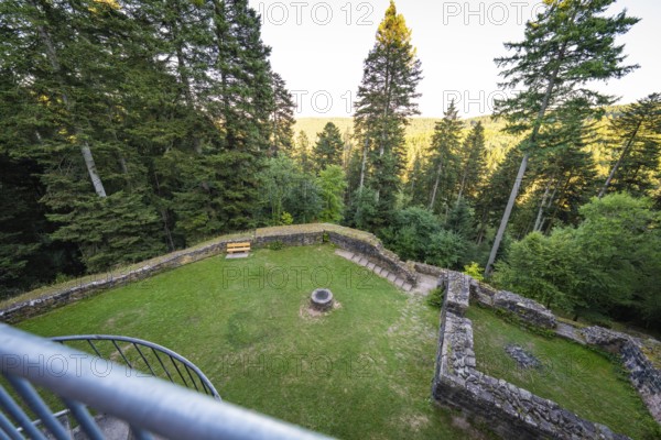 View from above of a green lawn with benches surrounded by a thick forest at sunset, Mandelberg Castle Ruins, Pfalzgrafenweiler, Freudenstadt District, Germany
