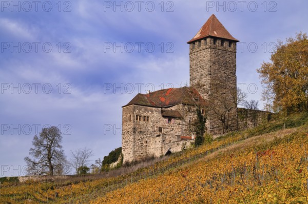 Keep, tower, Lichtenberg Castle, Oberstenfeld, Bottwartal, Löwensteiner Mountains, vineyard, vines, vines, viticulture, autumn colors, autumn, Baden-Württemberg, Germany
