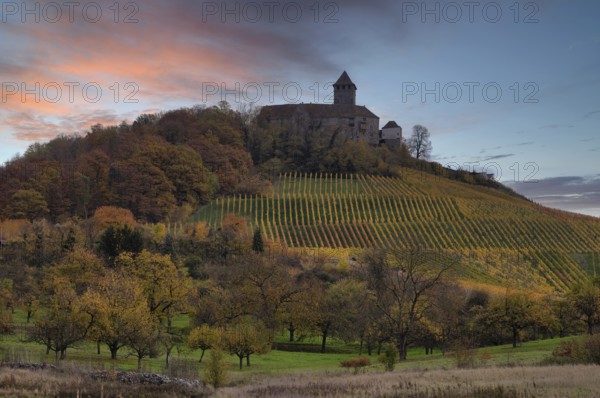 Lichtenberg Castle, Oberstenfeld, Bottwartal, Löwensteiner Mountains, vineyard, vines, viticulture, graphic, autumn colors, autumn, dusk, Baden-Württemberg, Germany