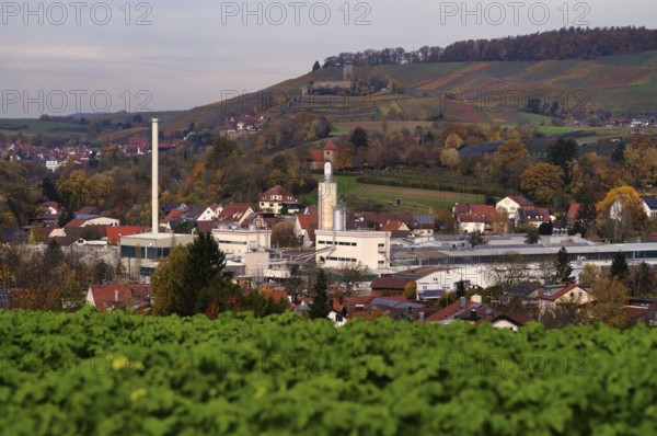 Company MAP loading equipment, pallets, Oberstenfeld, behind Hohenbeilstein Castle, vineyards, Beilstein, Bottwartal, Löwensteiner Mountains, autumn, autumn colors, Baden-Württemberg, Germany