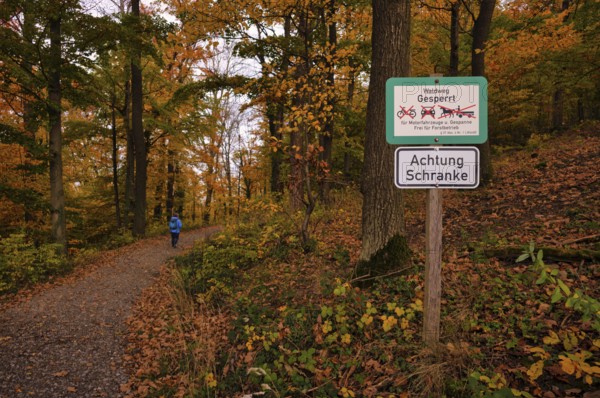 Sign, forest trail, closed to vehicles, hikers, Oberstenfeld, Bottwartal, Löwensteiner Berge, autumn colors, autumn, Baden-Württemberg, Germany