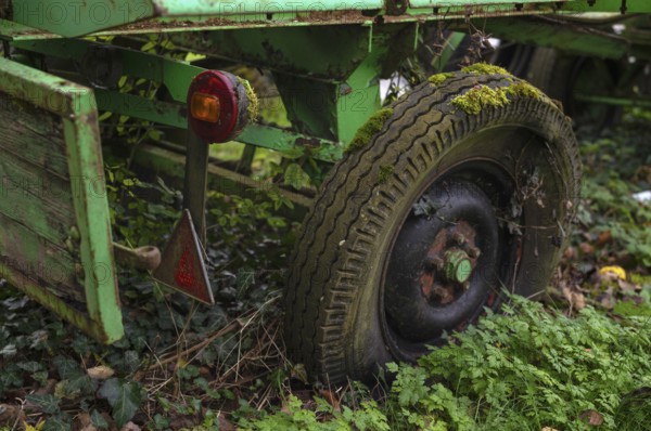 Detailed view, trailer, broken, rotting, moss on tires, wheel, rear light, Oberstenfeld, Bottwartal, Löwensteiner Berge, Baden-Württemberg, Germany